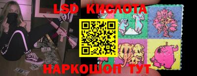 2c-b Кингисепп
