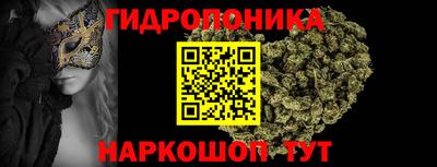 2c-b Кингисепп