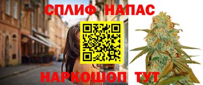 спайс Кинель