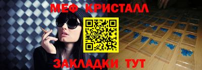 2c-b Кингисепп