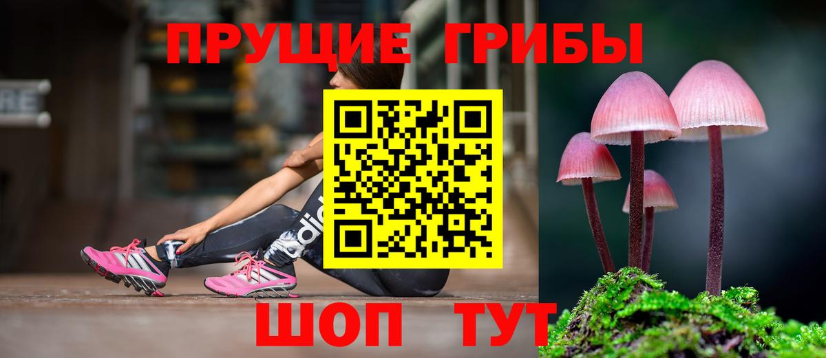 Краснодар  Галлюциногенные грибы GOLDEN TEACHER  Псилоцибиновые грибы прущие грибы  Вход с VPN 